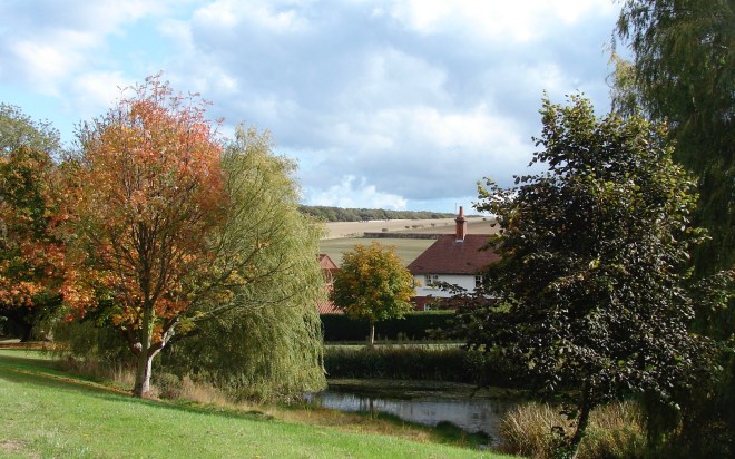 fimber pond.JPG