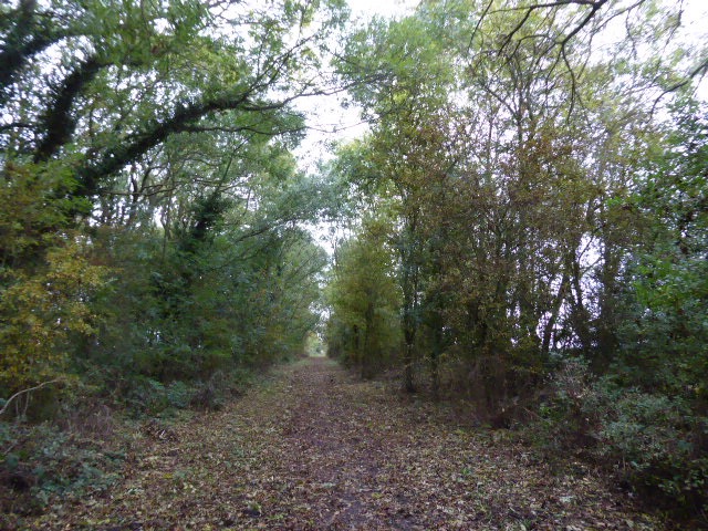 Hornsea Rail Trail